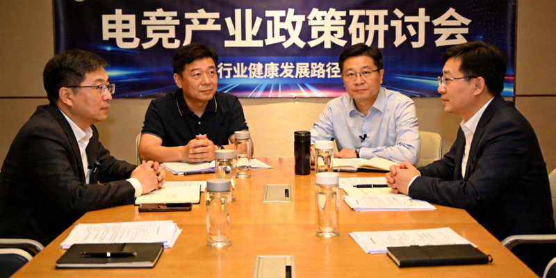 电竞产业政策研讨会现场 - 专家学者讨论行业健康发展路径